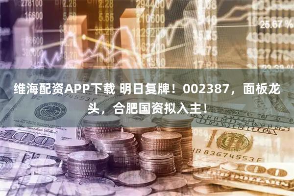 维海配资APP下载 明日复牌！002387，面板龙头，合肥国资拟入主！