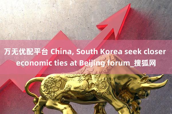 万无优配平台 China, South Korea seek closer economic ties at Beijing forum_搜狐网