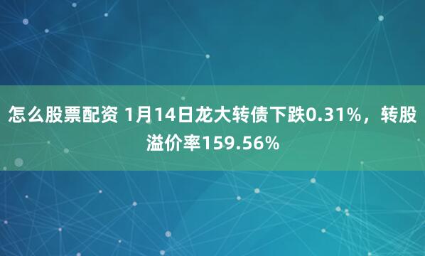 怎么股票配资 1月14日龙大转债下跌0.31%，转股溢价率159.56%
