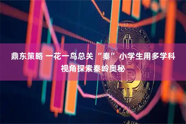 鼎东策略 一花一鸟总关 “秦” 小学生用多学科视角探索秦岭奥秘